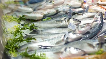 Benefícios dos peixes