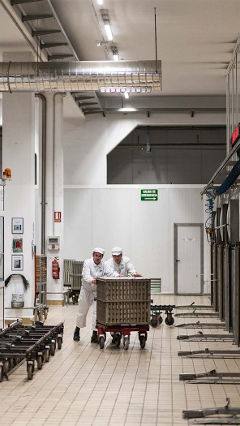 Na fábrica da Hero, estes dois homens trabalham sob a luz da iluminação Philips para a indústria alimentar