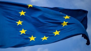 Uma árvore ao lado de um edifício de vidro