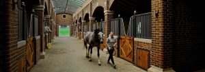 O Bourne Hill Stables cria um ambiente mais seguro com iluminação com UV-C